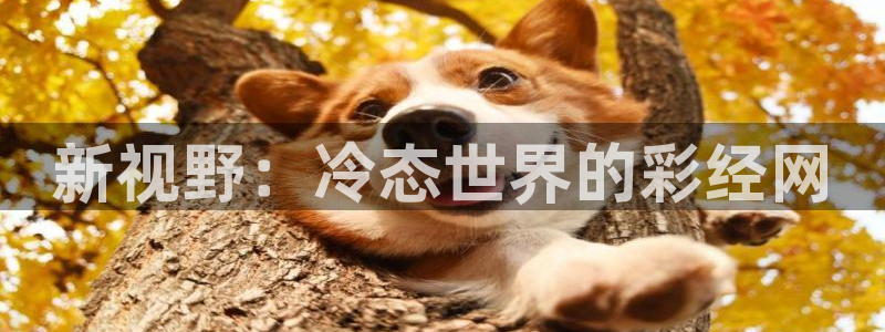 成都BG大游电子有限公司：新视野：冷态世界的彩经网