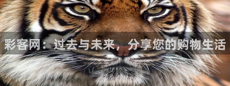 BG大游主管：彩客网：过去与未来，分享您的购物生活
